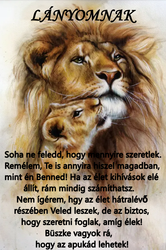 216/ Laminált ajándékkísérő kártya