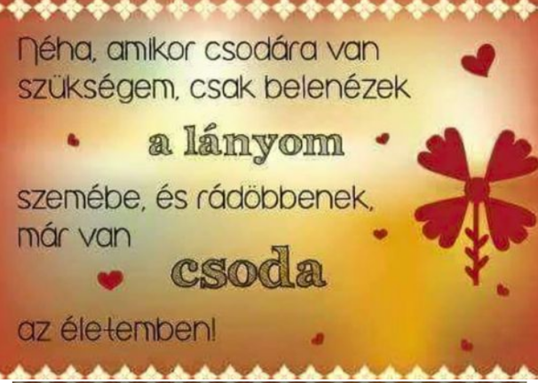 205/ Laminált ajándékkísérő kártya