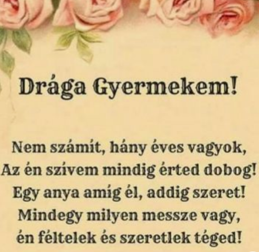 217/ Laminált ajándékkísérő kártya